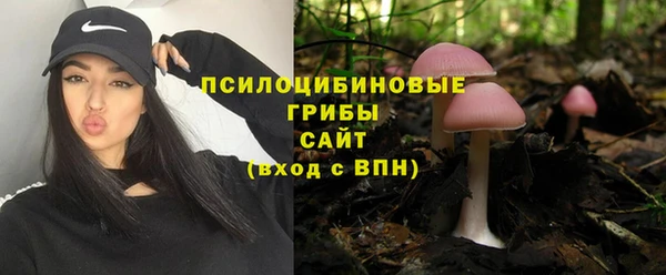 сатива Алапаевск