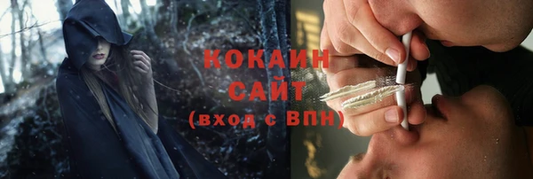 индика Артём