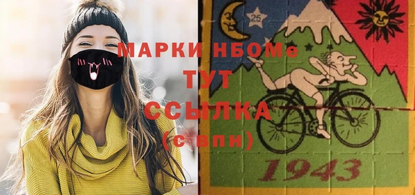 индика Артём