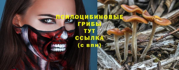 сатива Алапаевск