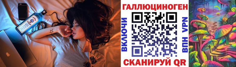цена наркотик  Кодинск  Псилоцибиновые грибы Magic Shrooms 